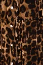 Leopardo.webp