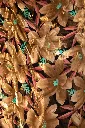 Negro Dorado Floral.webp