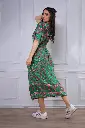 MPVL2585.webp