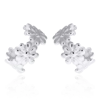 [90208S] Aretes