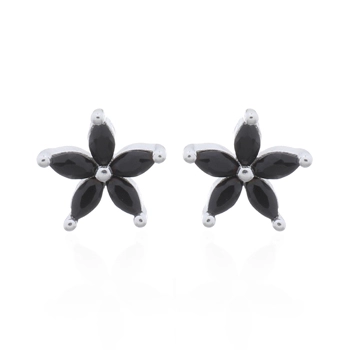 [90565BS] Aretes