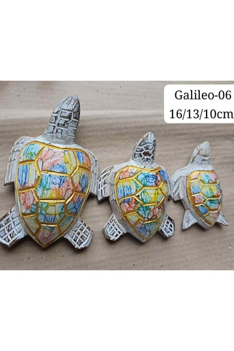 [GALILELO06] Tortuga
